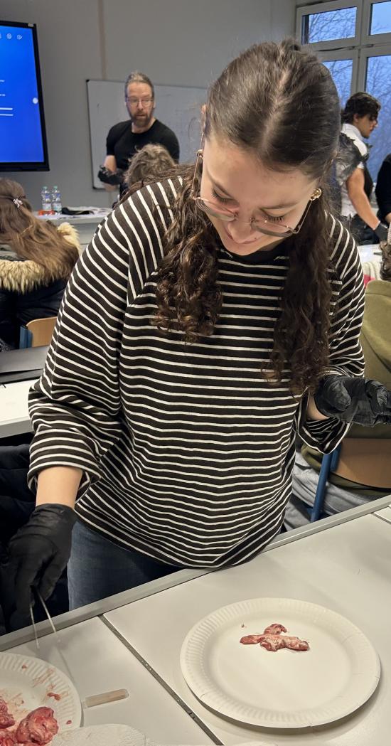 Einen wissenschaftlichen Blick ins Innenleben des Schweinegehirns