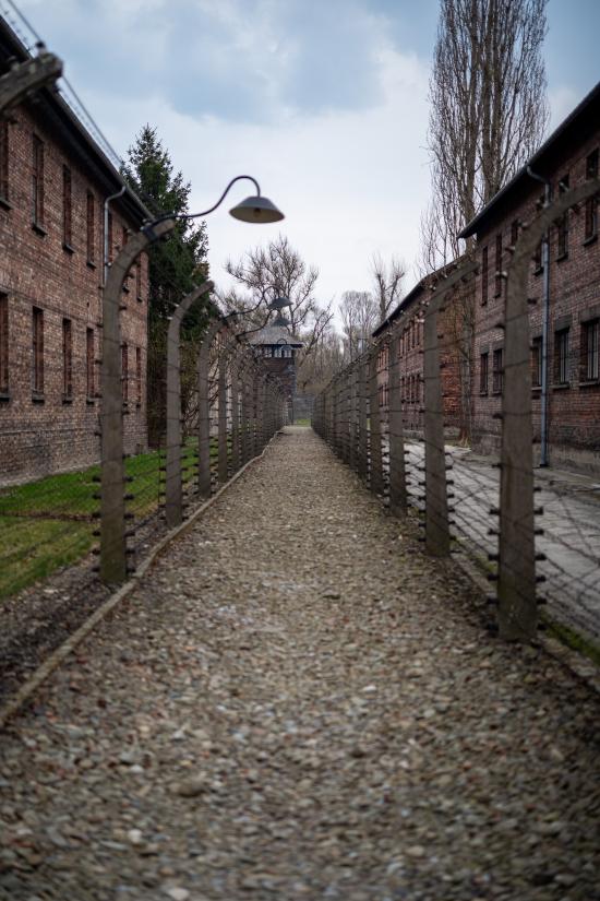 Nie wieder ist Jetzt! – EFG-Studienfahrt nach Krakau und Auschwitz 2026