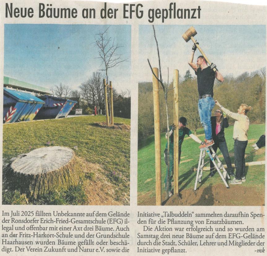 Neue Bäume an der EFG