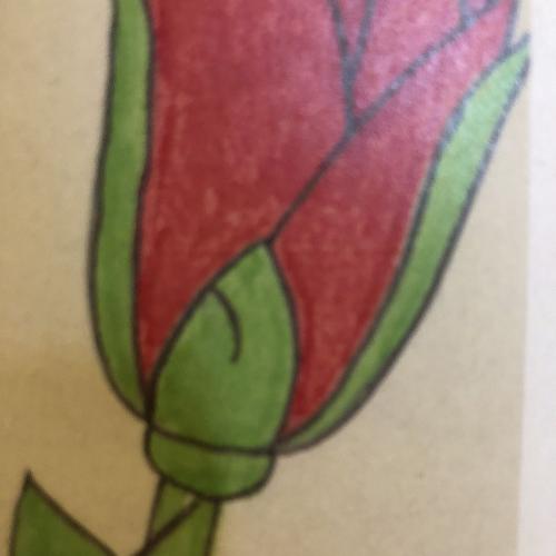 Lasst die Rosen sprechen: Traditionelle SV-Valentinstagsaktion an der EFG 